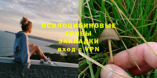 стаф Покровск
