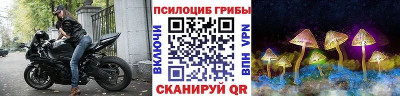 Псилоцибиновые грибы Cubensis  что такое   Ирбит 